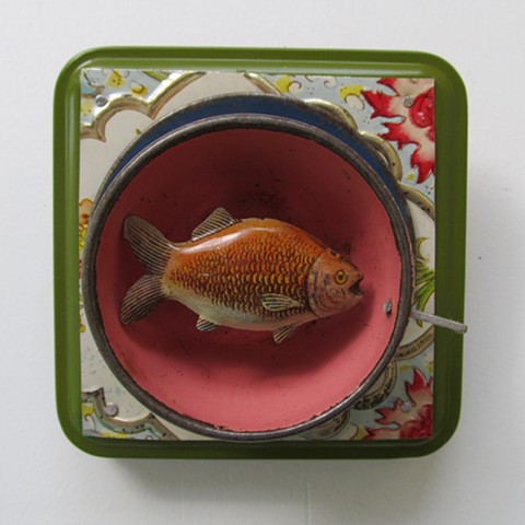 Fish in my teacup