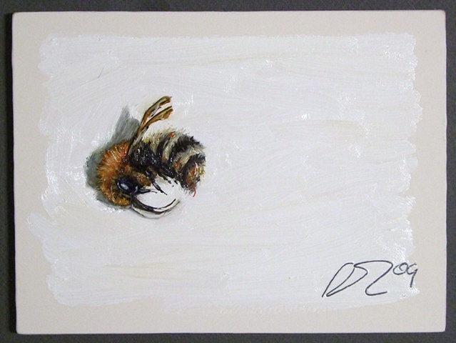 #181 Bee