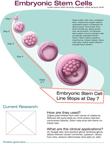 embryonic stem cells from day one to days 5 and 7. I created this for a stem cell research lab to help with education