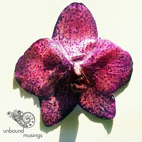 orchid, hand painted flower, preserved flowers, resin, inspired by nature, unbound musings