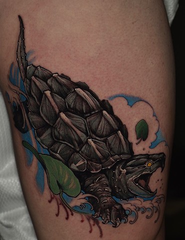 Alligator snapping turtle