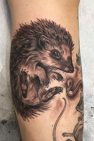 A little hedgehog tattoo