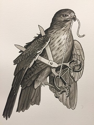 hawk and scissors