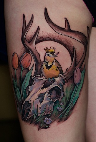 skull with a bird and crown