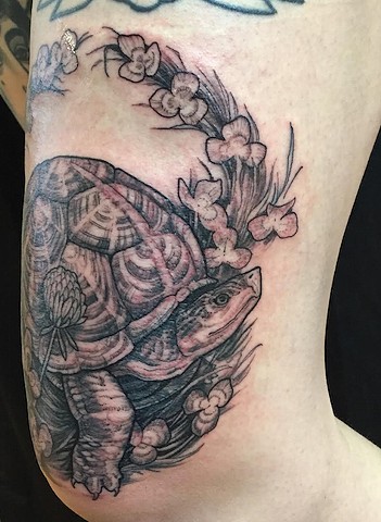 Turtle and Wreath