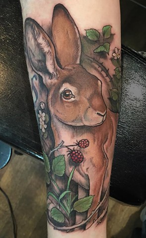 Bunny and Brambles