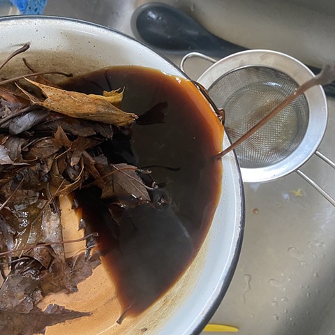 Ink is filtered through a metal mesh strainer. Leaves and other remaining solids can be composted.  Further straining of the liquid through a coffee filter is optional--doing this while the ink is still warm seems to work better. 