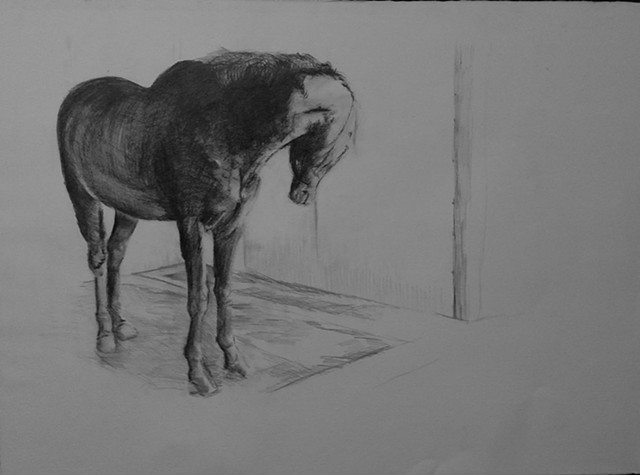 Equestrian Paintings 
