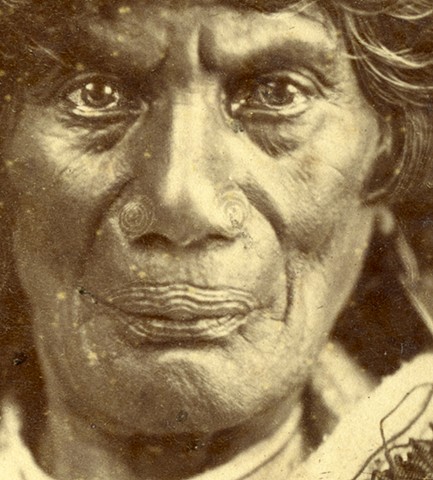 Portrait of Unidentified Maori Man (detail)