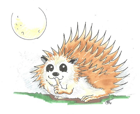 Pretending Hedgehog