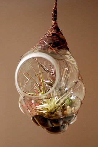 blown glass terrarium