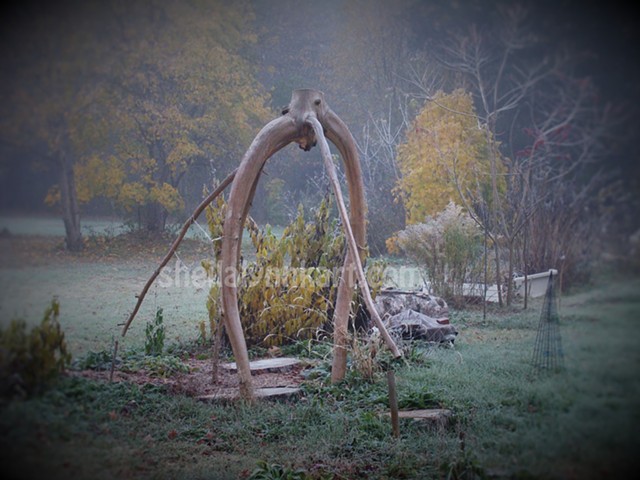 Tree Project, First Frost, Autumn Ice, Sacred Art, Organic Installation Art, Tree Art, Memorial Art, Green Matters 