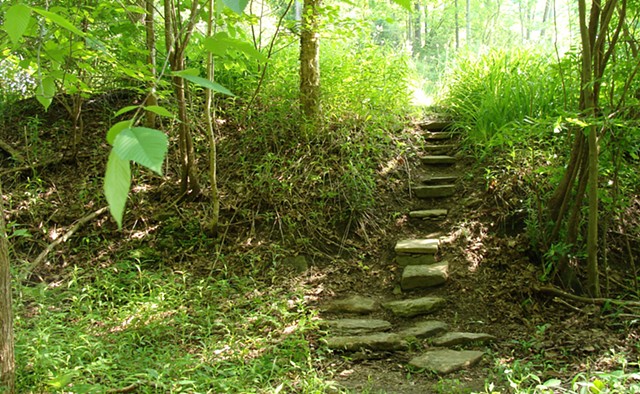 Stone Steps Photostock, Forest Path Photostock, Nature and Steps Photostock 