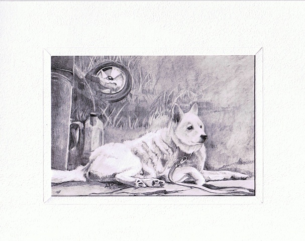 sheila kalkbrenner, white dog, pet portrait, gift for pet owner