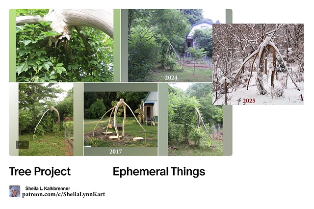 Tree Project update 2017-2025