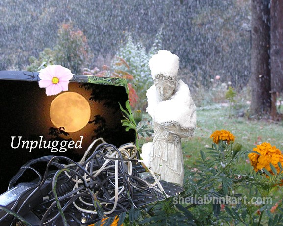 Unplugged Full Moon