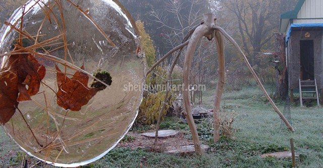 Tree Project, First Frost, Autumn Ice, Sacred Art, Organic Installation Art