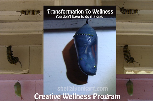 Creative Wellness Program ALL FIVE MODULES