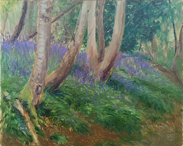 Bluebells on the Old Road