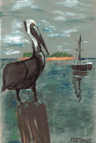 Card - Tortugas Pelican