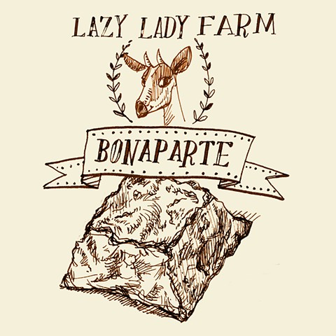 cheese illustration saxelby bonaparte lazy lady farm