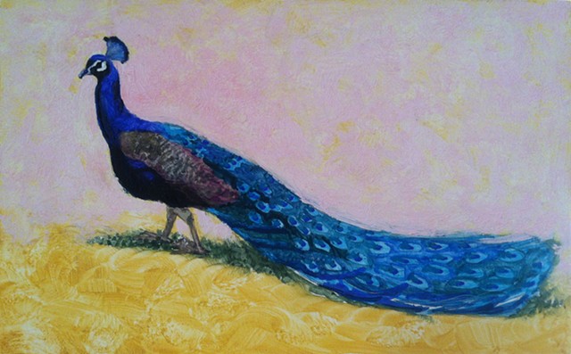 GFS Peacock