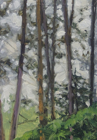 houghton pines II