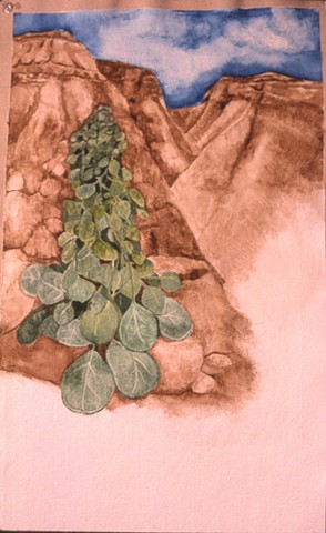 watercolor painting caper bush growing from side of Nahal Hever, Israel