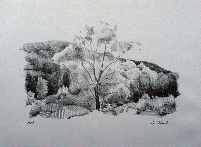 Tree With Hill