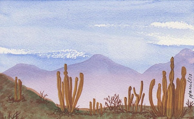 Baja California Landscape