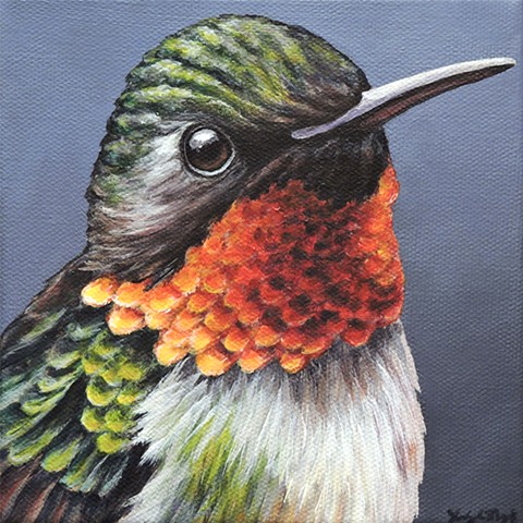 Ruby-Throated Hummingbird portrait #3
