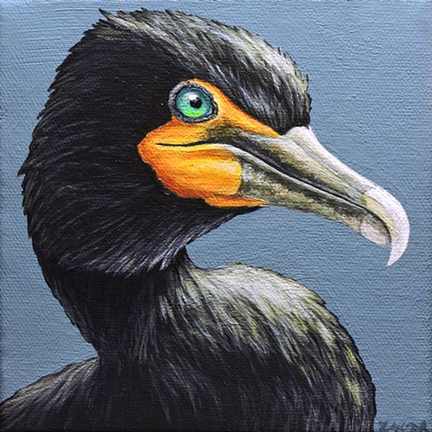Double-crested Cormorant portrait