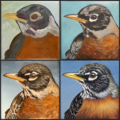 Bird portraits
