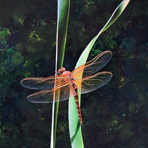 Dragonfly on Blade of Grass #10