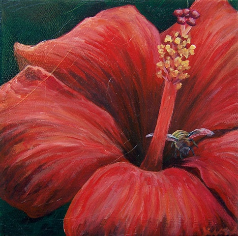 Bee and Red Hibiscus #2