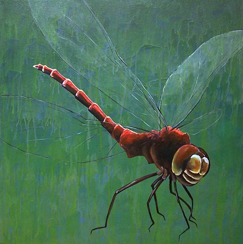 Dragonfly (step 4)