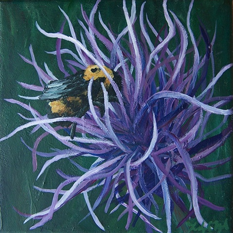 Bee and Thistle #2