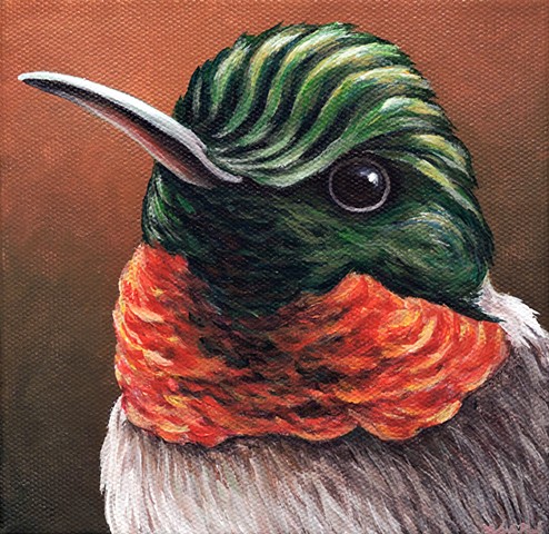 Ruby-Throated Hummingbird portrait #2