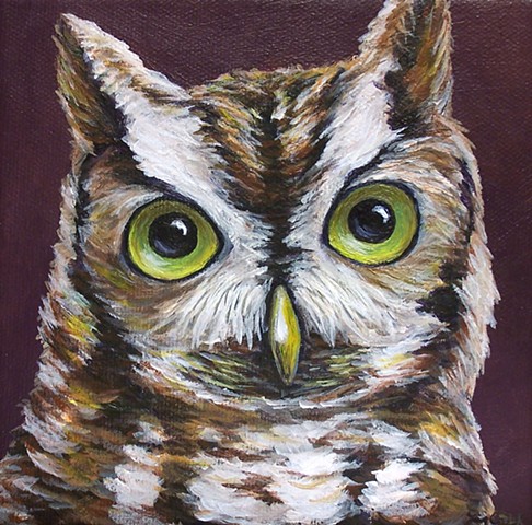 Screech Owl portrait #2