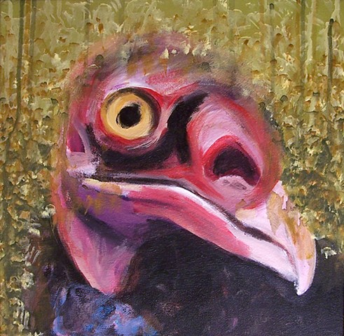 Turkey Vulture portrait (step 6)