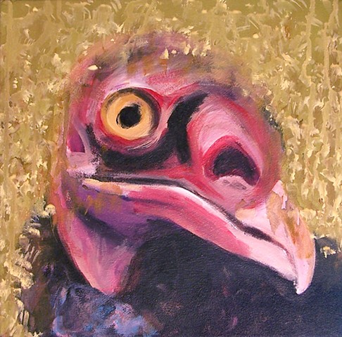 Turkey Vulture portrait (step 5)