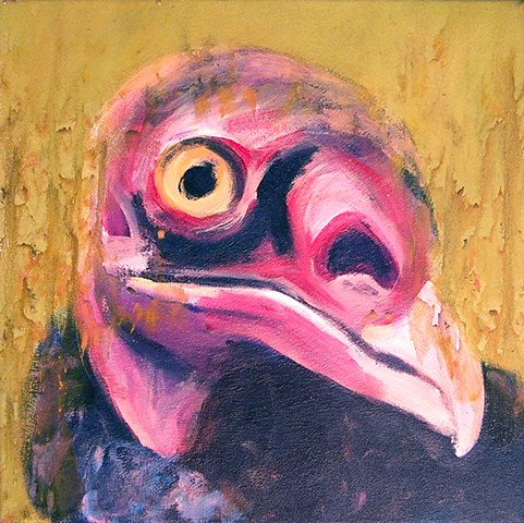 Turkey Vulture portrait (step 4)