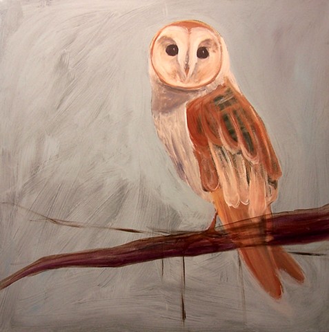 Barn Owl #2 (perched)  (step 4/9)