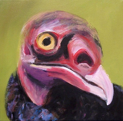 Turkey Vulture portrait (step 3)