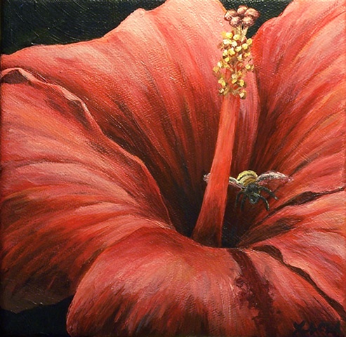 Bee and Red Hibiscus #3