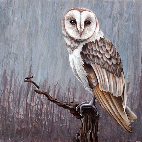 Barn Owl #2 (perched)  (step 9/9- finished)