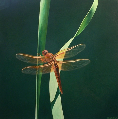 Dragonfly on Blade of Grass #9