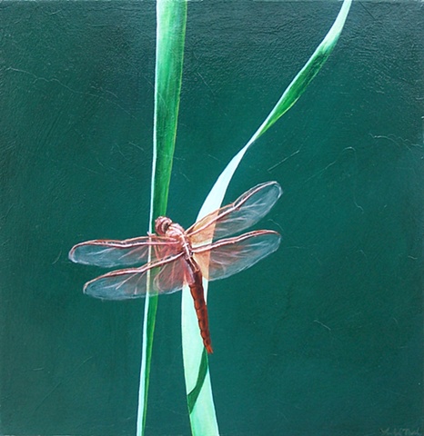 Dragonfly on Blade of Grass #5