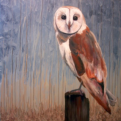 Barn Owl #2 (perched)  (step 8/9)