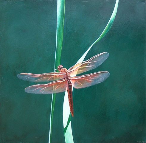 Dragonfly on Blade of Grass #6